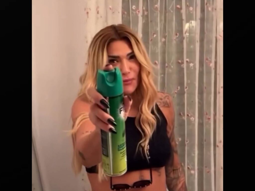 Αγγελική Ηλιάδη σφήκα viral